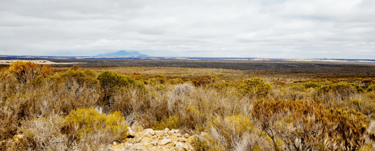 Screen Shot 2019-06-30 at 11.33.02 am